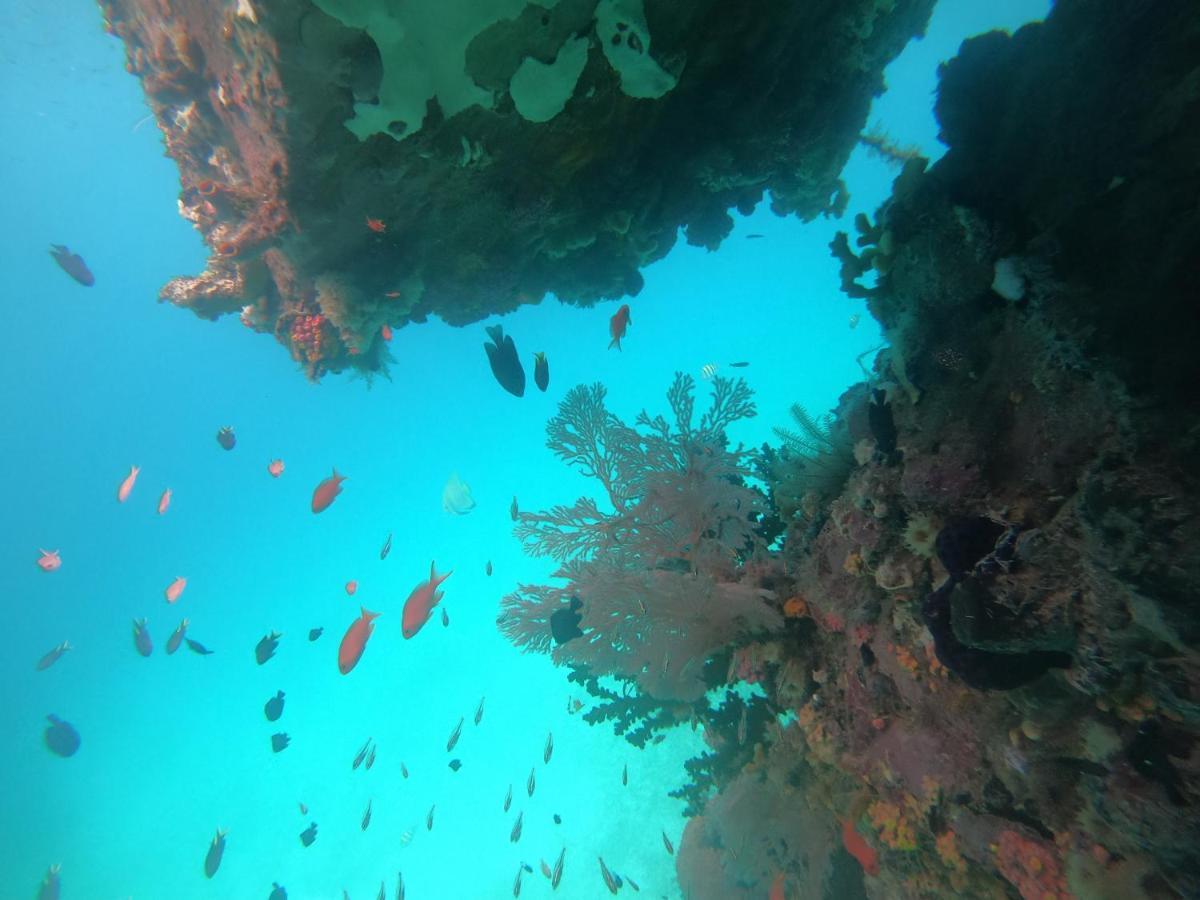 Meos Ambower Homestay Raja Ampat Fam Екстер'єр фото
