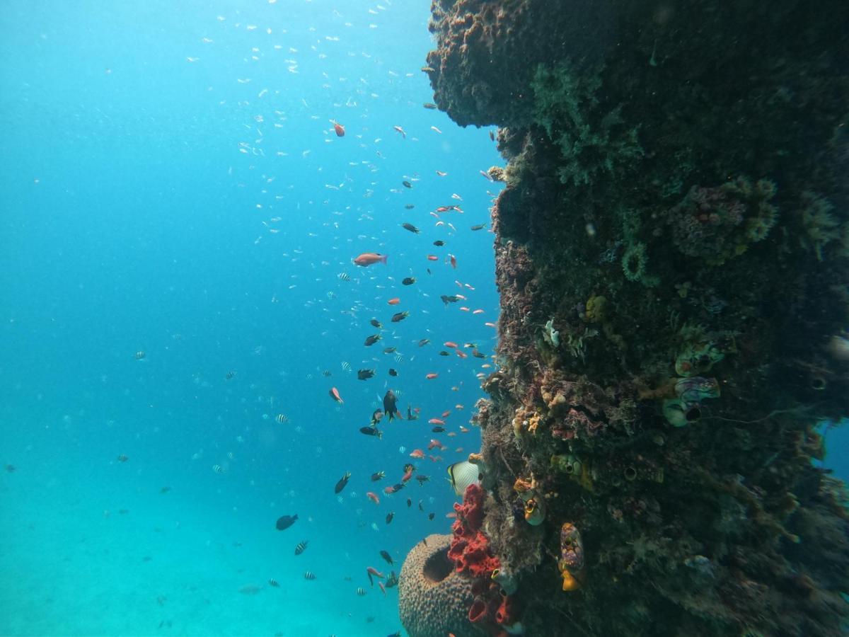 Meos Ambower Homestay Raja Ampat Fam Екстер'єр фото