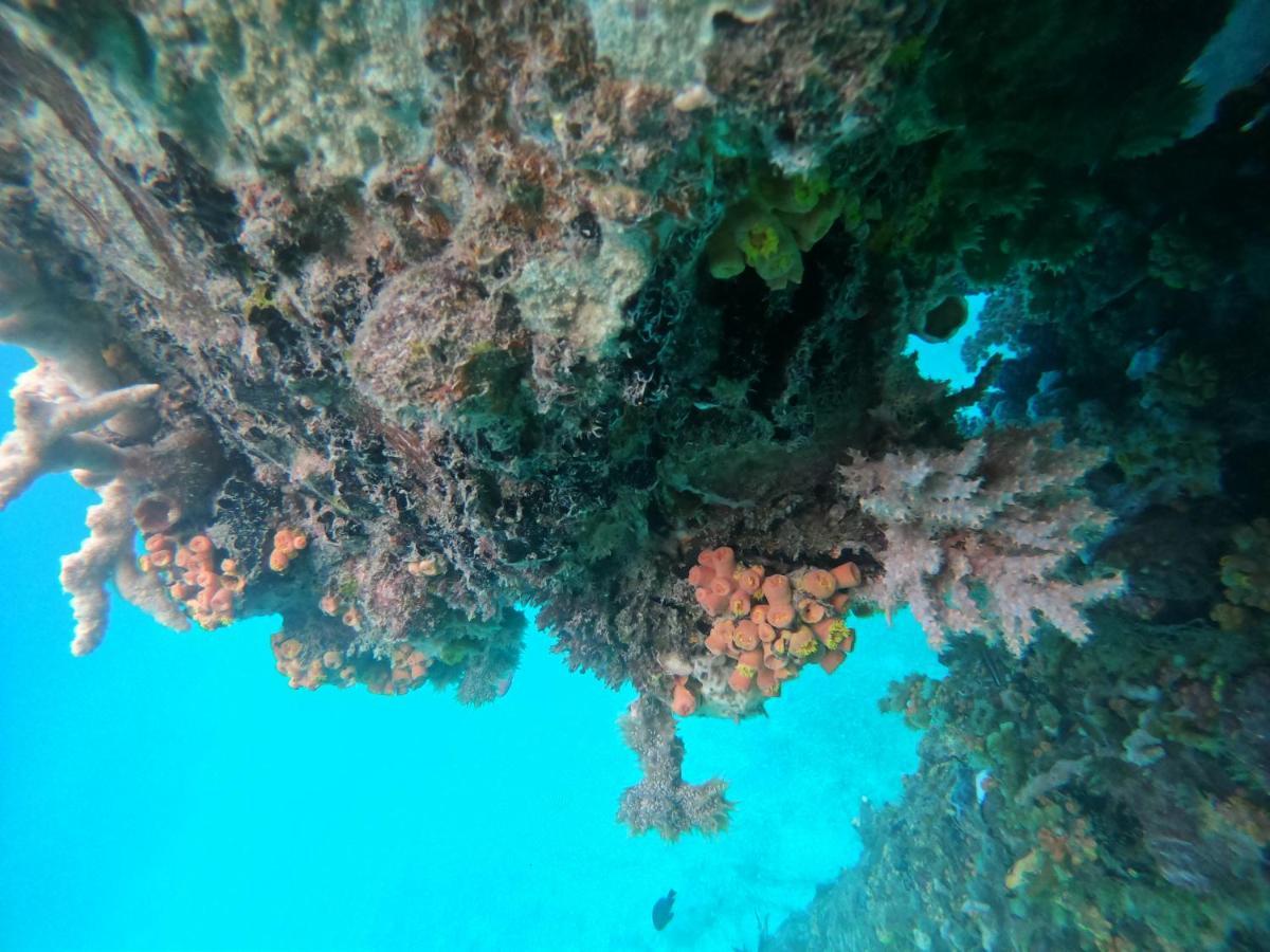 Meos Ambower Homestay Raja Ampat Fam Екстер'єр фото