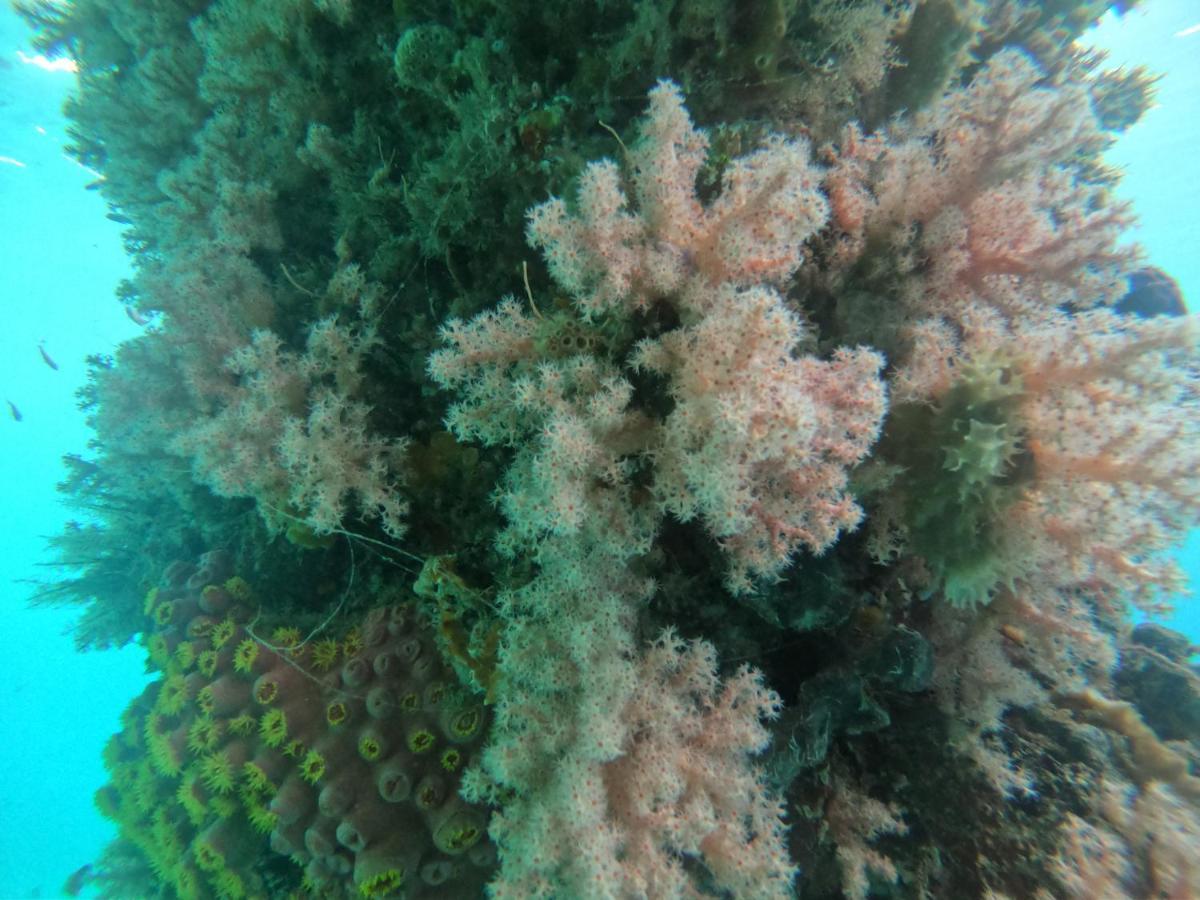 Meos Ambower Homestay Raja Ampat Fam Екстер'єр фото