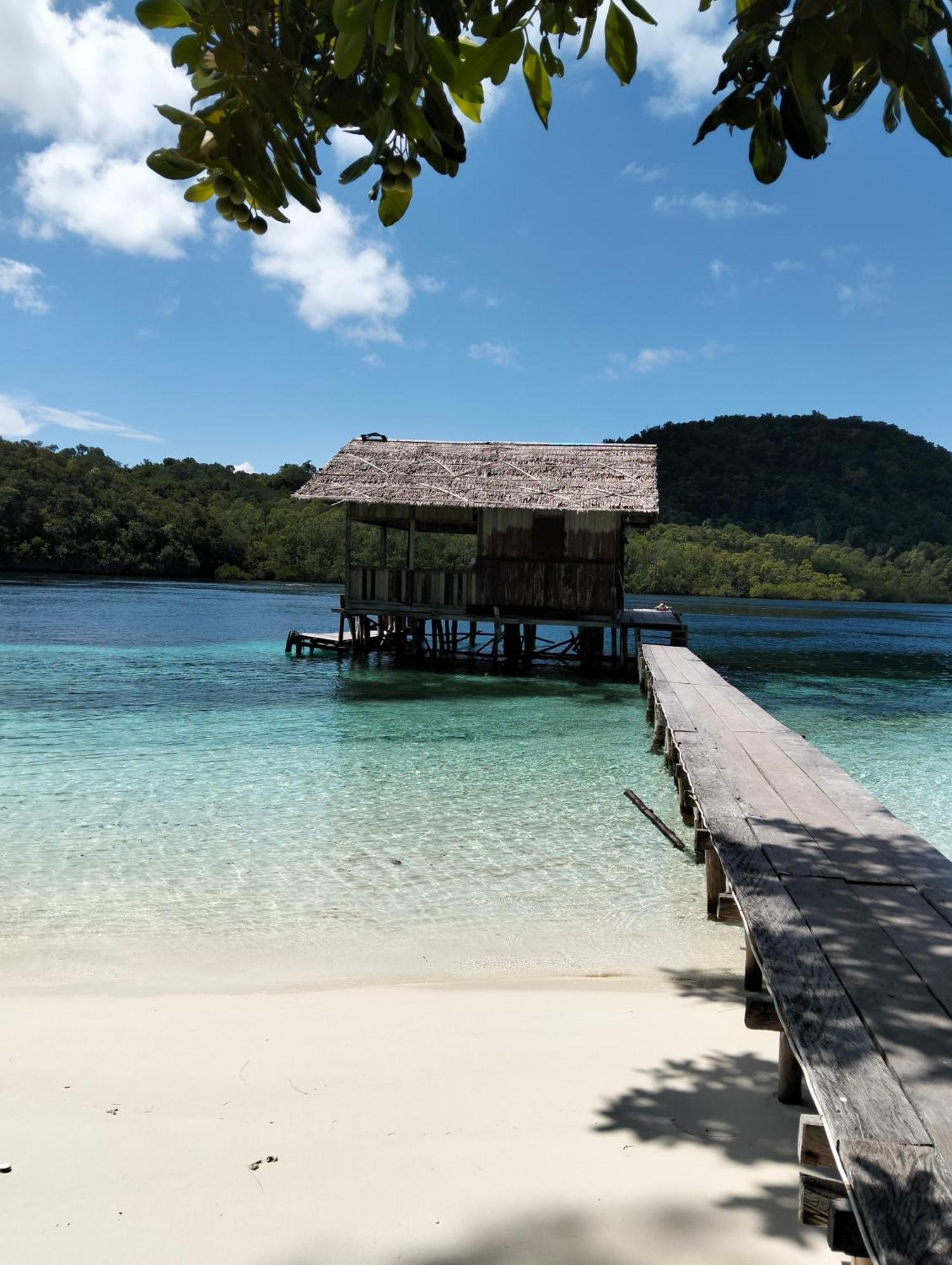 Meos Ambower Homestay Raja Ampat Fam Екстер'єр фото