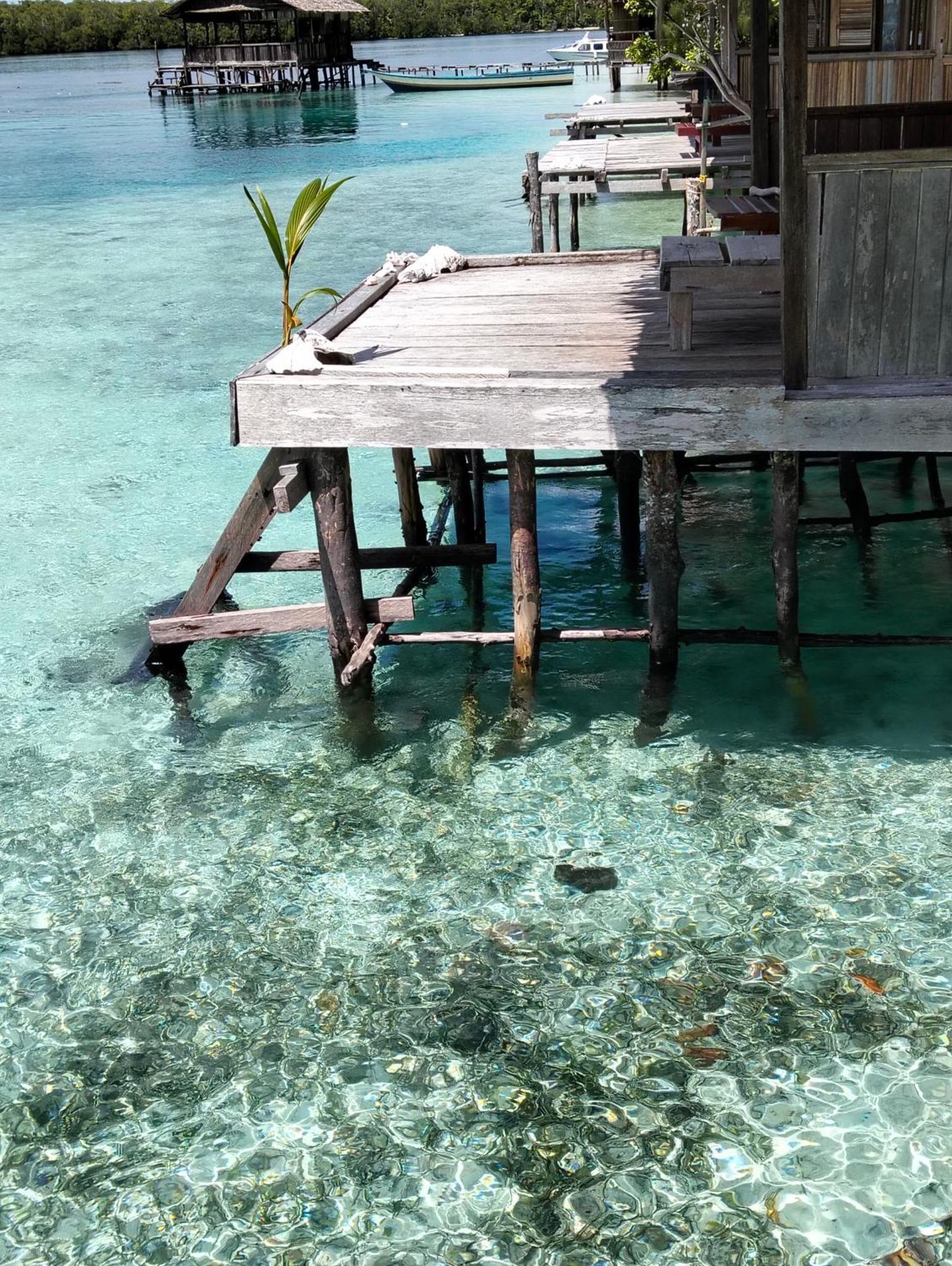 Meos Ambower Homestay Raja Ampat Fam Екстер'єр фото
